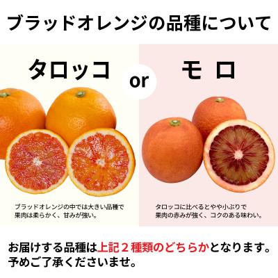 ふるさと納税 松山市 【2027年3月下旬頃から発送予定】ブラッドオレンジ(優品)約2.5kgと瀬戸内海の島レモン3玉入り |  | 01