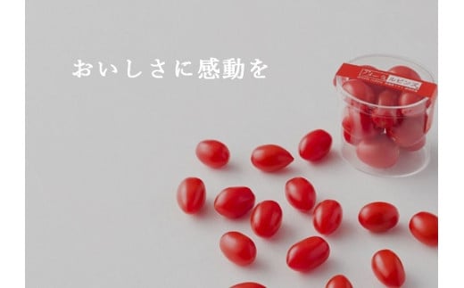 B50アメーラルビンズ　5パック入り