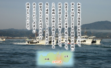 ちりめん 訳あり 600g (200g × 3袋) 和田島産 ちりめん