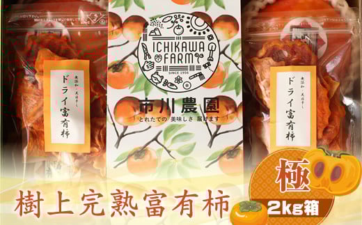 
            【先行予約】樹上甘熟富有柿 【極】2kg箱　〈出荷時期：2026年11月15日～2026年12月10日出荷終了〉【 柿 かき フルーツ 神奈川県 海老名市 】
          