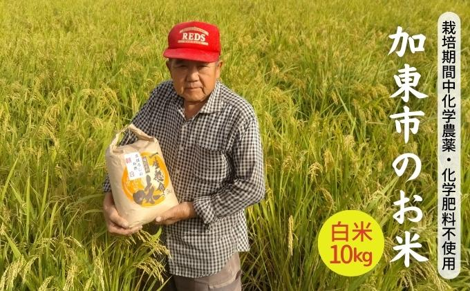 
【令和5年産】栽培期間中化学農薬・化学肥料不使用 加東市のお米 白米 10kg
