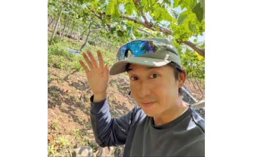 【2027年8月下旬以降発送 先行受付】山梨県産 シャインマスカット2kg(2～4房程度)【1783399】