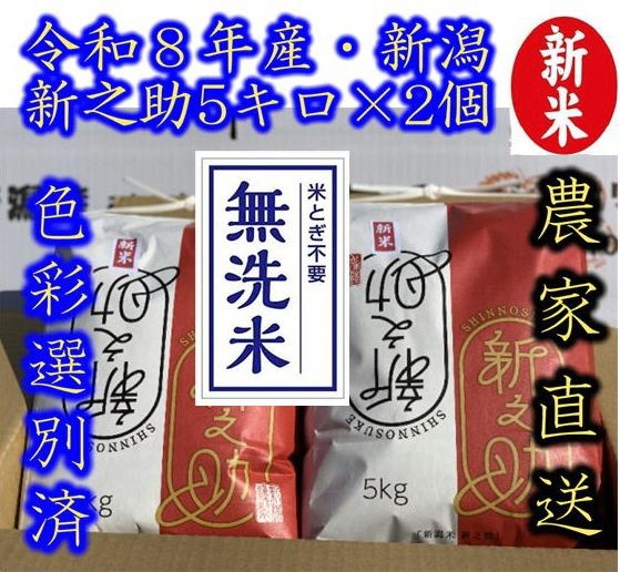 
                  【令和8年産新米】整粒率95％の1等米！！ 阿賀野市産「新之助」無洗米 10kg（5kg×2袋） 中島農場 精米 新潟県 米 こめ コメ お米 ごはん ご飯 農家直送 色彩選別済 新米 新米予約 令和8年産 9月下旬より順次発送  3R13029
                