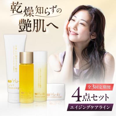ふるさと納税 糸島市 【全3回定期便】エイジングケアライン 4点セット[AHJ035]