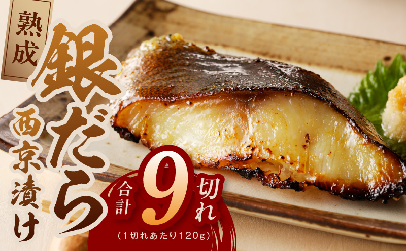 銀鱈 西京漬け 120g×9切れ【厚切り 小分け 熟成 銀だら ぎんだら ギンダラ 海産物 魚 惣菜 西京焼き 味噌 お酒のあて 訳あり サイズ不揃い 家計応援 切り落とし 大阪 泉佐野 大阪府 泉佐野市】
