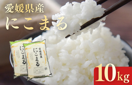 愛媛県産にこまる10kg