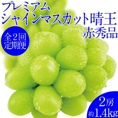 ふるさと納税 鏡野町 【発送月固定定期便】プレミアムシャインマスカット晴王 2房約1.4kg全2回