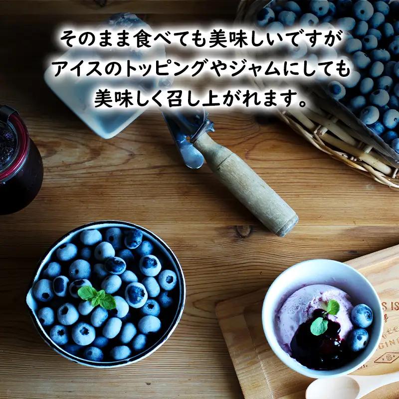 【2025年夏配送】生 ブルーベリー 計800g (400g×2パック)