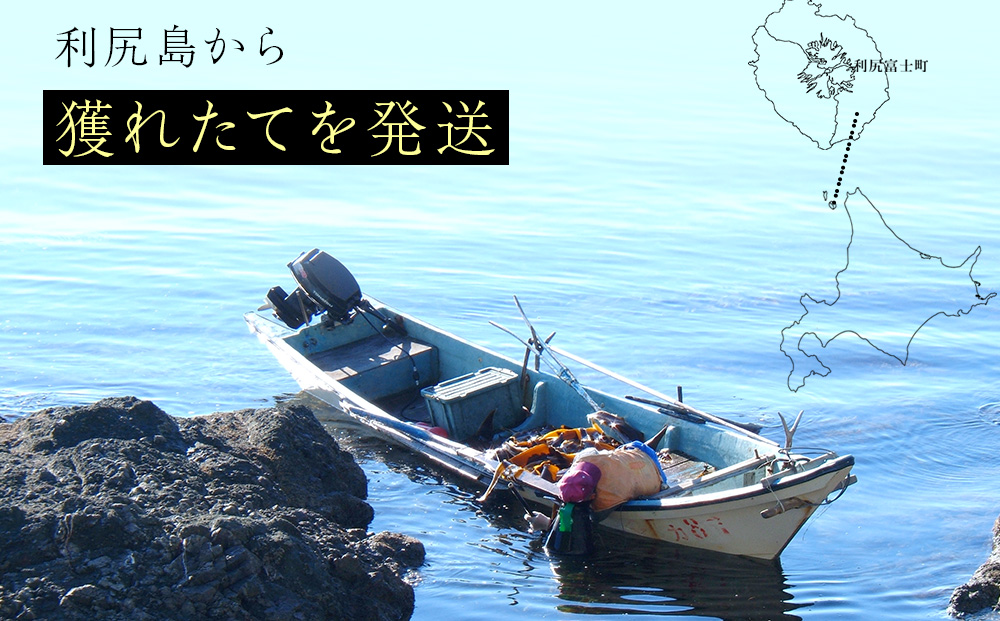 ★2026年8月発送★ 北海道 利尻島産 塩水生うに エゾバフンウニ 300g (100g×3パック)【福士水産】