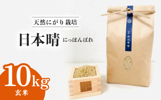【先行予約】日本晴 玄米 10kg 令和8年産 天然にがり栽培 にっぽんばれ 希少 品種 お寿司 ピラフ チャーハン【2026年10月より順次発送】