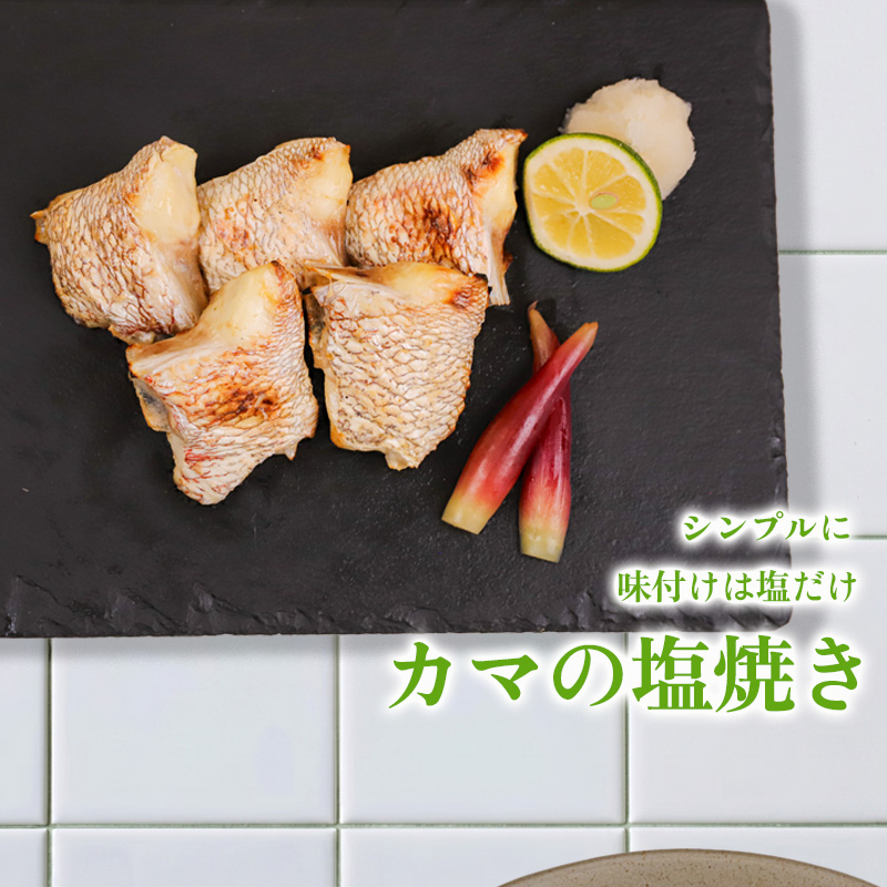 【 スピード配送 】 ブランド 真鯛 希少部位 カマ 頭 フィーレ 3点セット 乙女鯛 冷凍 本場 産地直送 たい 加熱用 焼き物 煮物 お手軽 簡単 おかず 便利 鯛 真鯛 魚介類 高知県 須崎市 