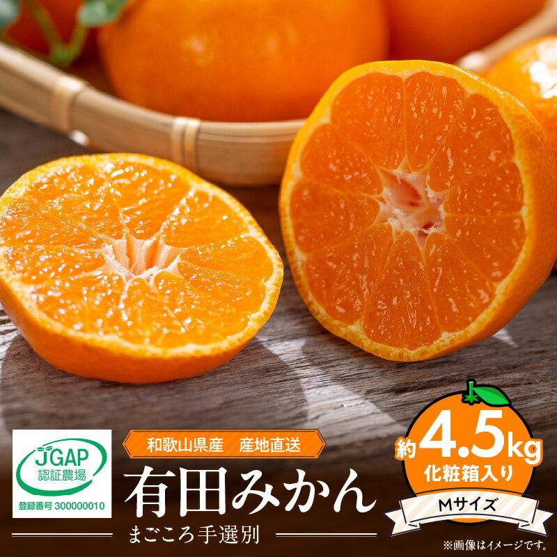 【ふるさと納税】【2025年先行予約】和歌山県産 有田みかん 化粧箱入り 4.5kg Mサイズ【まごころ手選別】【ミカン 蜜柑 温州みかん 柑橘 和歌山 ギフト 贈答】