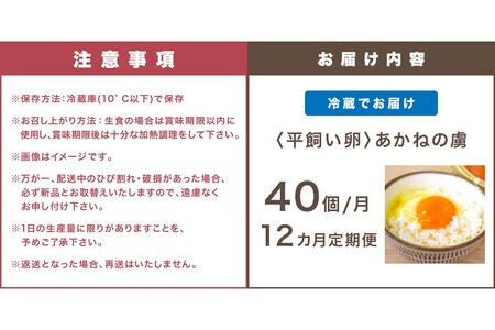 〈平飼い卵〉あかねの虜（40個/月）【12カ月定期便】【J95-004】