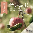 【ふるさと納税】【贈答用】藤崎町産りんごサンふじ約5kg(12〜20個)【配送不可地域：離島・沖縄県】【1031228】