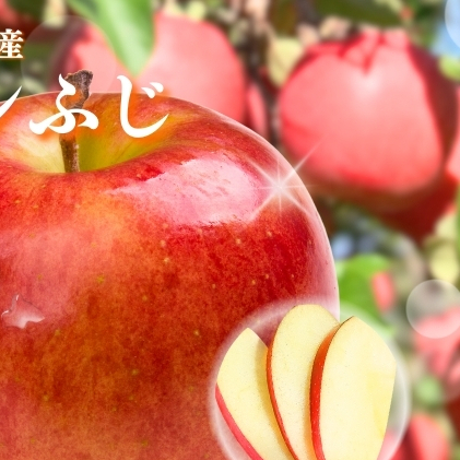 長野市産 サンふじ 約5kg(13～16玉） 果物 フルーツ りんご リンゴ 