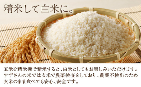 R8年産 米 ミルキークイーン 玄米 10kg【9/20以降収穫でき次第順次発送】