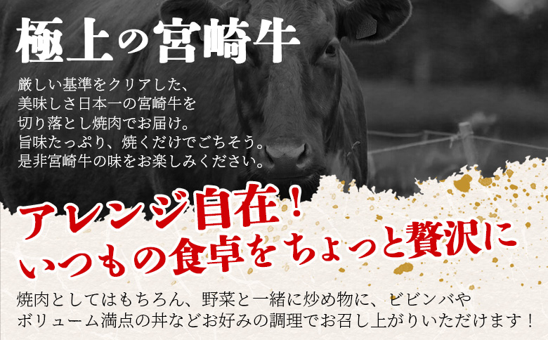 ＜宮崎牛 切落し焼肉1kg（500g×2）＞入金確認後、1～3か月以内に順次出荷【国産 黒毛和牛 牛肉 牛 精肉 赤身 ブランド牛 ちょっと豪華 毎日の食卓 プチ贅沢 ご褒美 旨味 普段使い 焼き肉 