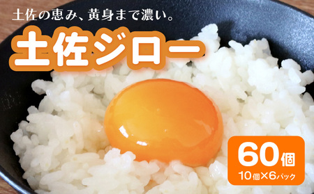土佐ジローの卵 60個入り  |たまご 玉子 生卵 たまごかけご飯 国産たまご こだわりたまご 南国たまご
