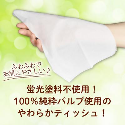ふるさと納税 沼津市 ティッシュ ペーパー ボックス 12箱 柔らかめ |  | 01