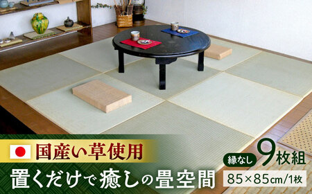 一畳屋 たたみっこ 縁無し 9枚セット 畳[AYAB002]