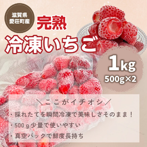 【採れたて瞬間冷凍！】滋賀県愛荘町産　冷凍いちご 1kg（500g×2）品種ミックス  BJ05