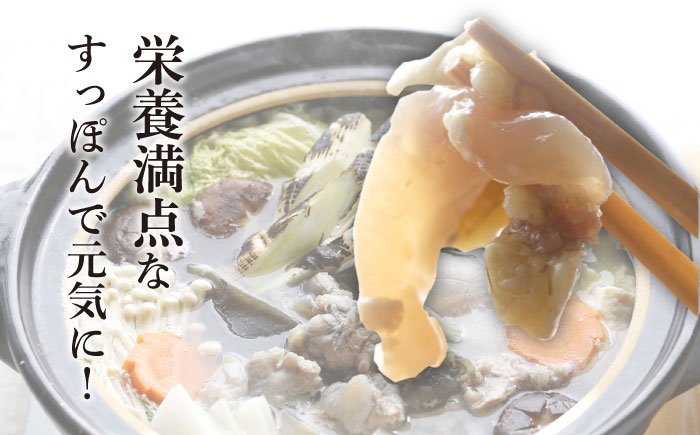 すっぽん鍋 セット 3人前 美容 コラーゲン 五島市/丸隆すっぽん養殖場 [PBL002]