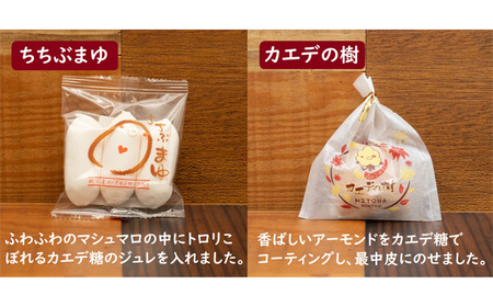 メイプラーセット No.351