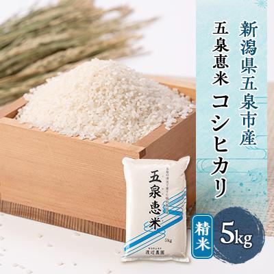 ふるさと納税 五泉市 【先行受付】令和7年産 新米 新潟県産 特別栽培米 コシヒカリ  精米(5kg×1袋)