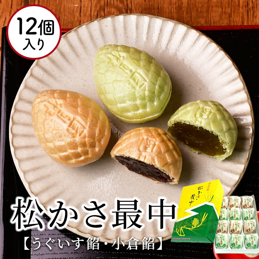 【ふるさと納税】梅月園 松かさ 最中 12個入