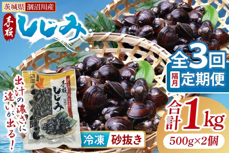 
            【全３回隔月定期便】茨城県涸沼川産 だしの濃さに違いが出る！手掘しじみ（砂抜き）500g×2個（1kg）【涸沼川 シジミ オルニチン 味噌汁 スープ 茨城県 水戸市】（MS-9）
          
