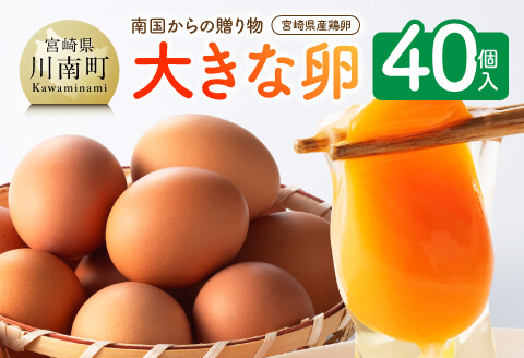 宮崎県産鶏卵　「南国からの贈り物」大きな卵40個入り（35個+破損補償5個）【卵 鶏卵 新鮮 生卵 タマゴ おうち時間】[C01401]