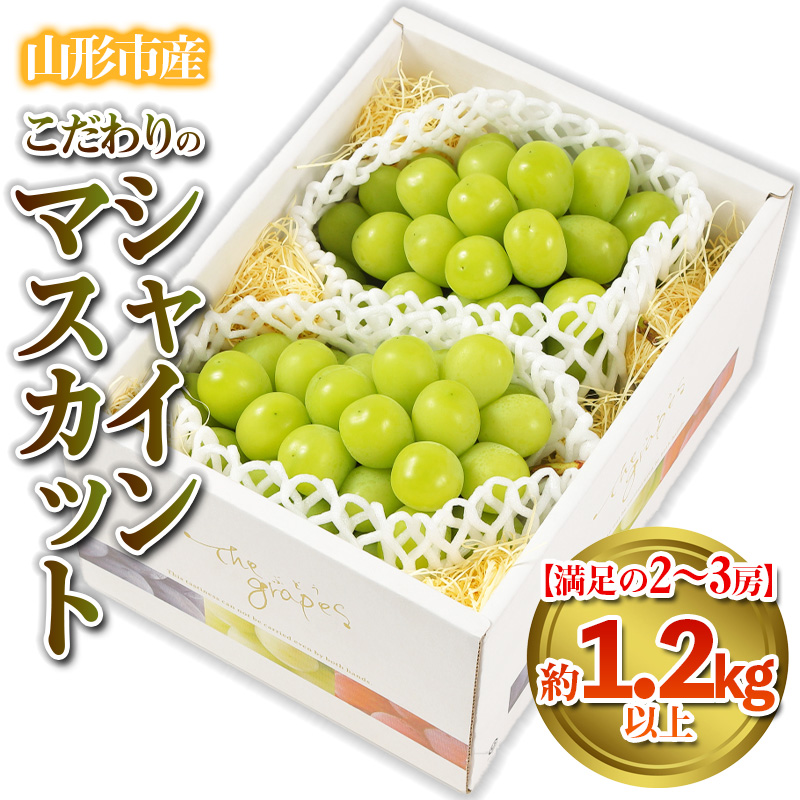 【満足の2～3房】こだわりのシャインマスカット 約1.2kg 山形市産 (9月中旬～10月上旬順次発送)【令和8年産先行予約】 FS24-544