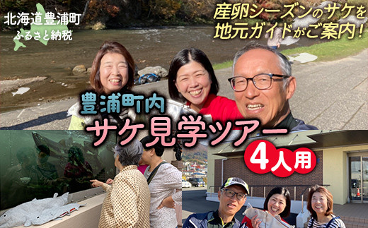 【豊浦町内】サケ見学ツアー（4人用）