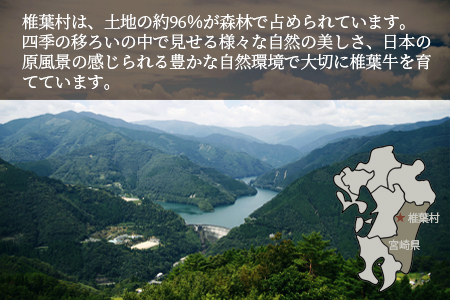 宮崎県産 椎葉牛 サーロインステーキ 200g A5等級指定 国産牛 黒毛和牛 和牛 牛肉 赤身 お肉 A5 サーロイン ステーキ 焼肉 TK-25