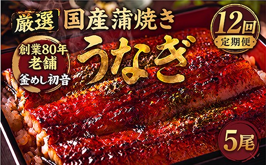 
                  定期便12回 国産 うなぎ かば焼き 5尾 厳選 高知県産 70年継ぎ足し 秘伝のたれ 鰻 蒲焼 かば焼き 土曜の丑の日 丑日 うな重 ひつまぶし うなぎかば焼き おすすめ 人気 ランキング レトルト 惣菜 冷凍 簡単調理 父の日 母の日 魚 魚介 加工品 頒布会 12カ月 12ヶ月 うなぎ定期便 鰻定期便 釜めし初音 高知県 室戸市
                