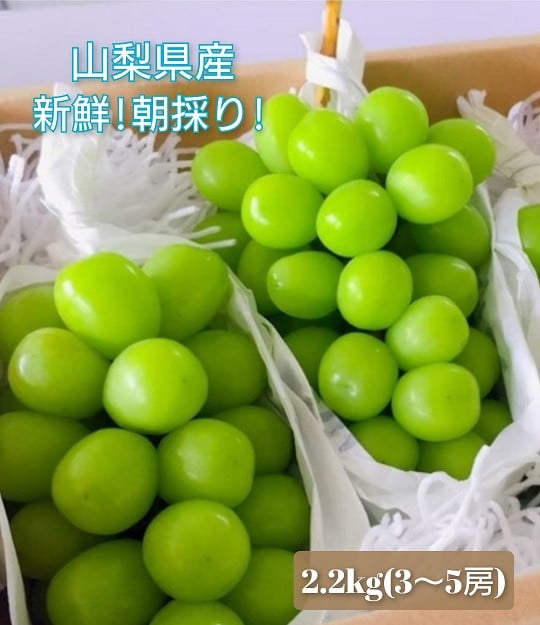 
            【2026年発送★先行予約】 産地厳選シャインマスカット2.2㎏～2.5kg（3房～5房）106-014
          