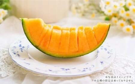 『まるで果物の王様！贅沢メロン』 2玉セット  1箱 熊本県産  【2026年1月下旬発送開始】フルーツ くだもの 果物 メロン 果実 果肉 おやつ 国産