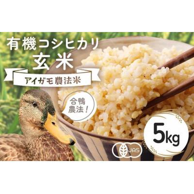 ふるさと納税 石岡市 【令和7年産】有機栽培米 コシヒカリ 玄米 5kg 合鴨農法
