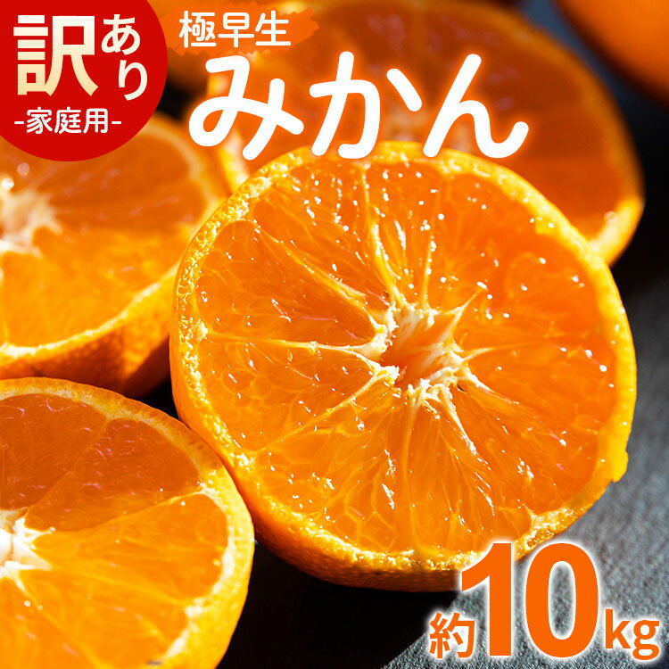 【ふるさと納税】家庭用 訳あり 極早生みかん 約10kg - 送料無料 温州みかん デザート ごくわせ フルーツ くだもの 果物 蜜柑 ミカン 柑橘 ご自宅用 旬 季節 かなや農園 合同会社Benifare 国産 特産品 高知県 香南市【常温】