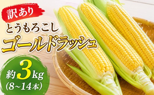 甘みがギュッとつまったとうもろこし