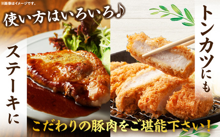 オリーブ豚ロース極厚ステーキ 計1000g【高松市共通返礼品】| 国産 国産豚 オリーブ豚 豚肉 1000g 1kg ブランド豚 ロース 極厚 お肉 豚 冷凍 とんかつ ステーキ 日用 贈答 贈り物 