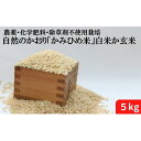 【ふるさと納税】自然のかおり「かみひめ米」白米か玄米 5kg　【お米】