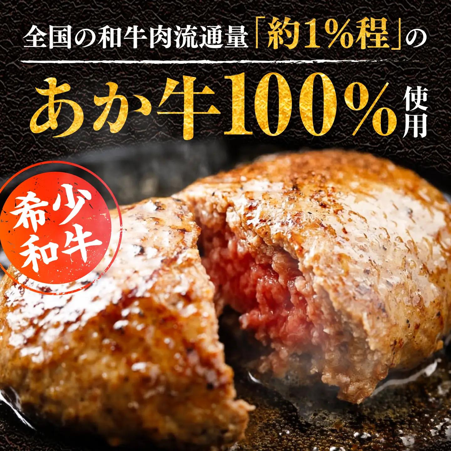 全6回定期便 熊本和牛 あか牛 ハンバーグ セット 約120g×6個 BHAS034 ハンバーグ