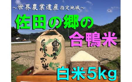 ＜令和5年産＞佐田の郷の米 アイガモ米(5kg)お米 白米 ごはん ブランド米 常温 常温保存【111700500】【雅設置プロジェクト　佐田の郷の会】