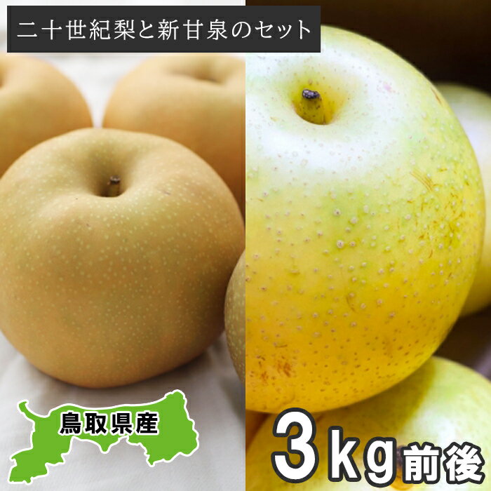 【ふるさと納税】二十世紀梨と新甘泉のセット　3kg