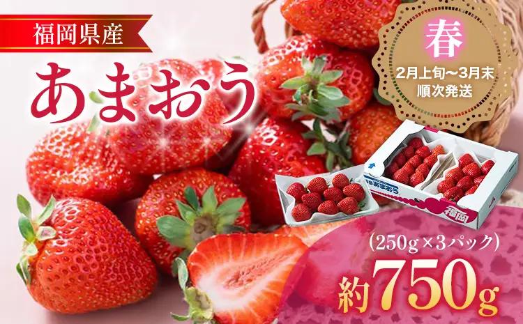 福岡産【春】あまおう 3パック 合計750g （1パックあたり250g） いちご 苺 果物 フルーツ 九州産 福岡県産 冷蔵 送料無料 【2月上旬発送開始予定】
