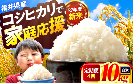 【4か月連続発送】小浜市産コシヒカリ 精米 10kg 若狭の自然が育てたごはん 国産米 福井県 / 白米 新米 地域密着 米問屋 小浜市 / 梅田東米穀店[BFEK016]