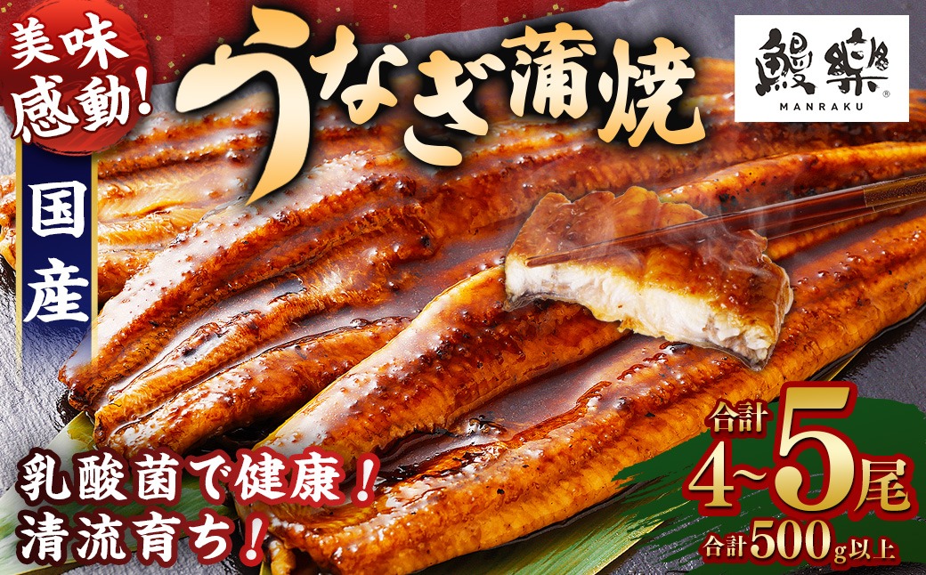 極上鰻！うまい！＜宮崎県産 うなぎ蒲焼 4～5尾 計500g以上＞【c1451_mn】