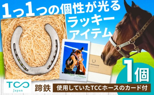 TCCホースシュー 世界に一つだけの蹄鉄/ 競馬 引退馬 引退競走馬 支援 競馬 馬 競走馬 グッズ インテリア 幸運 お守り うま ウマ ホース 馬グッズ 競馬グッズ 蹄鉄 馬蹄 トレセン 競馬 / 栗東市 / 株式会社TCC Japan [BIAV003]