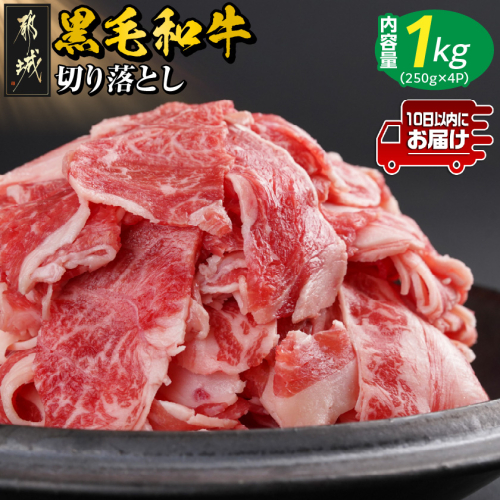 【黒毛和牛】切り落とし1kg(250g×4パック)≪みやこんじょ特急便≫_13-I901-Q